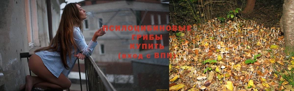 mdma Гусев