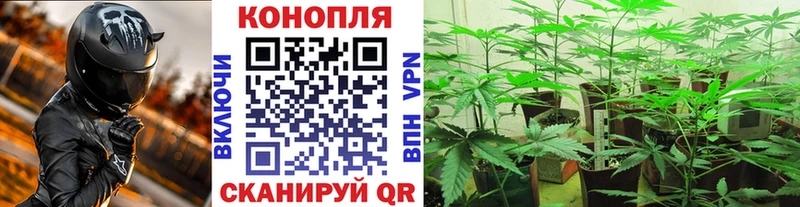 где можно купить наркотик  Фокино  Марихуана Amnesia 